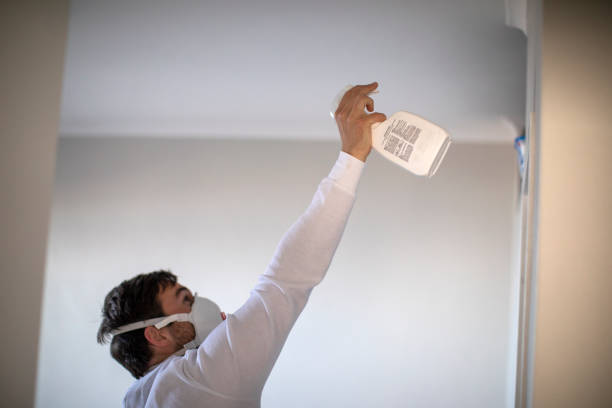 Best Commercial Mold Removal  in Maineville, OH