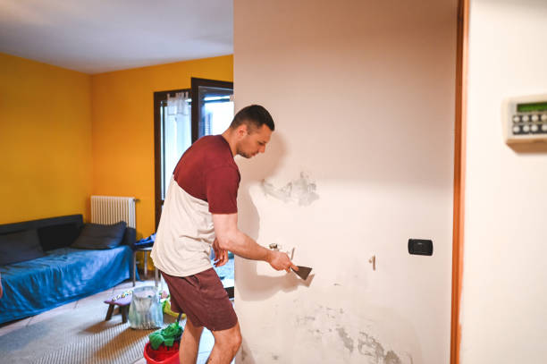 Best Mold Testing  in Maineville, OH